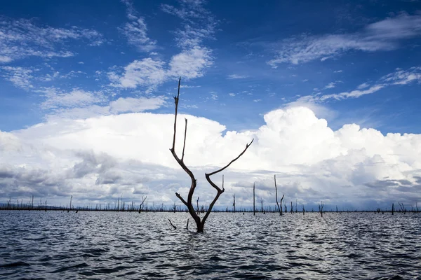 Embalse Brokopondomeer en la selva de Surinam, América del Sur — Foto de Stock