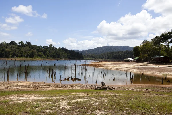 Ston eiland en reservoir Brokopondomeer in Suriname, Zuid Amerika — Stockfoto