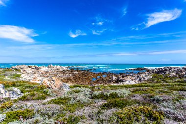 Güney Afrika, Cape Agulhas, Afrika 'nın en güneyindeki Hint Okyanusu' na bakın.