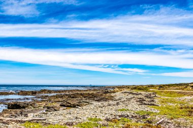 Robben Adası manzarası, Cape Town, Güney Afrika