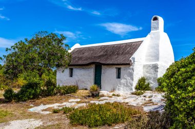 Struis Körfezi 'ndeki Beyaz Saray, Batı Burnu, Güney Afrika, Afrika