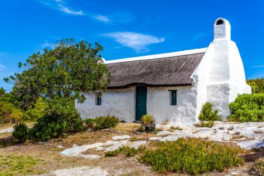 Struis Körfezi 'ndeki Beyaz Saray, Batı Burnu, Güney Afrika, Afrika
