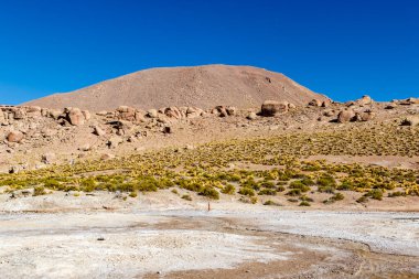And Dağları, Atacama, Şili 'deki El Tatio jeotermal alanı.