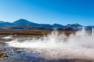 And Dağları, Atacama, Şili 'deki El Tatio jeotermal alanı.