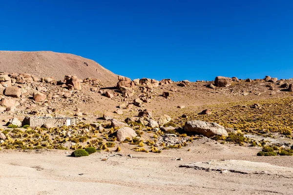 智利阿塔卡马安第斯山脉的El Tatio地热地景观 — 图库照片