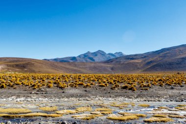And Dağları, Atacama, Şili, Güney Amerika 'daki El Tatio jeotermal alanı.