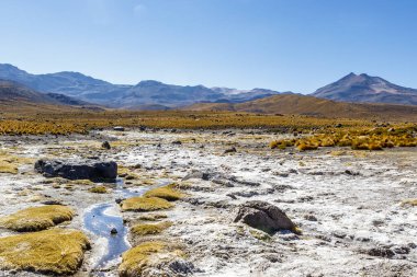 And Dağları, Atacama, Şili, Güney Amerika 'daki El Tatio jeotermal alanı.