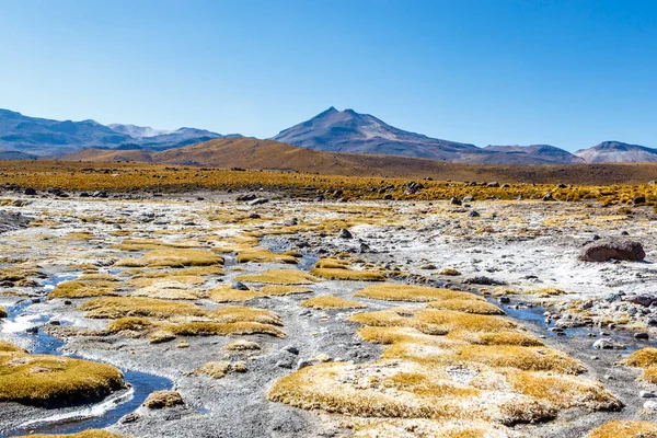 アンデス山脈 アタカマ 南米の間欠泉を持つエルタシオ地熱フィールドの風景 — ストック写真