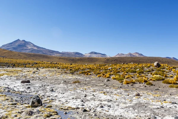 アンデス山脈 アタカマ 南米の間欠泉を持つエルタシオ地熱フィールドの風景 — ストック写真