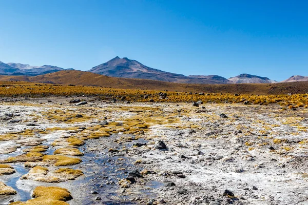 アンデス山脈 アタカマ 南米の間欠泉を持つエルタシオ地熱フィールドの風景 — ストック写真