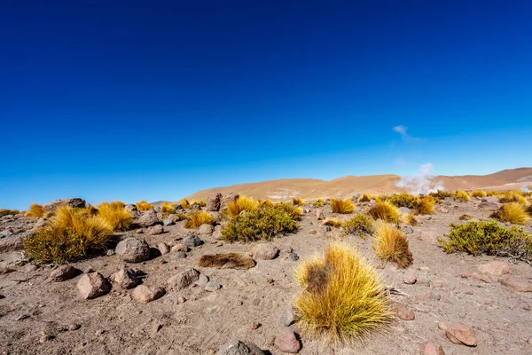 Paisagem Campo Geotérmico Tatio Com Geyers Nas Montanhas Dos Andes — Fotografia de Stock