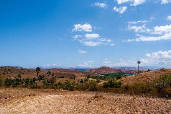 Landschaft Des Komodo Nationalparks Rinca Kleine Sundainseln Indonesien Asien — Stockfoto