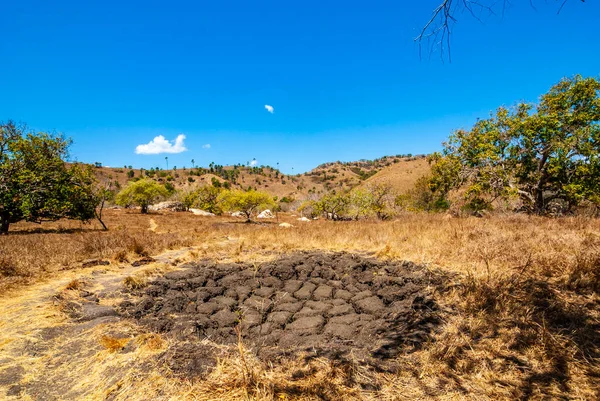 Landschap Van Komodo National Park Rinca Kleine Sunda Eilanden Indonesië — Stockfoto