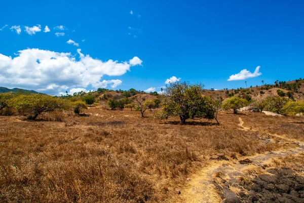 Landscape Komodo National Park Rinca Lesser Sunda Islands Indonesia Asia — Stock Photo, Image