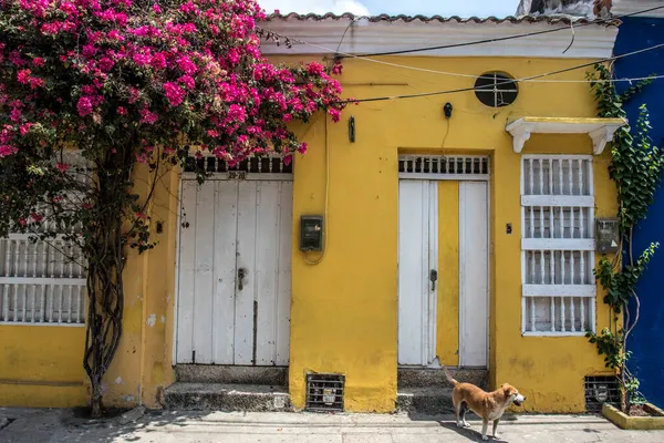 Πρόσοψη Ενός Κίτρινου Αποικιακού Σπιτιού Στο Παλιό Κέντρο Της Cartagena — Φωτογραφία Αρχείου