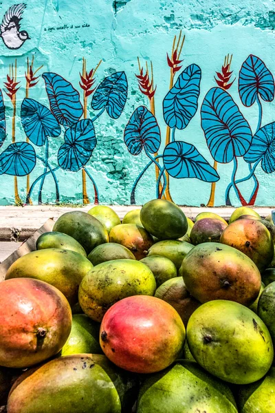 Cabane Fruits Dans Vieux Centre Cartagena Indias Colombie Amérique Sud — Photo