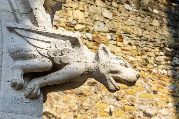 Gargoyle Van Kathedraal Van Zagreb Aan Kaptol Zagreb Kroatië Europa — Stockfoto