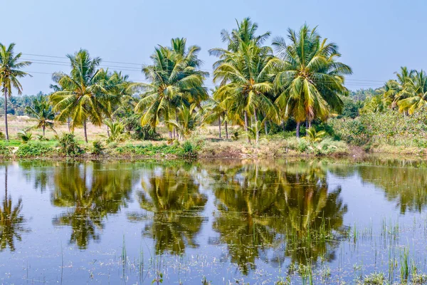 南インドのケーララ州の水に反射したヤシの木と熱帯の風景 — ストック写真