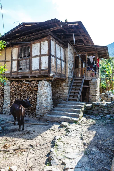 Traditioneel Bhutanees Boerenhuis Met Een Koe Bergen Van Oost Bhutan — Stockfoto