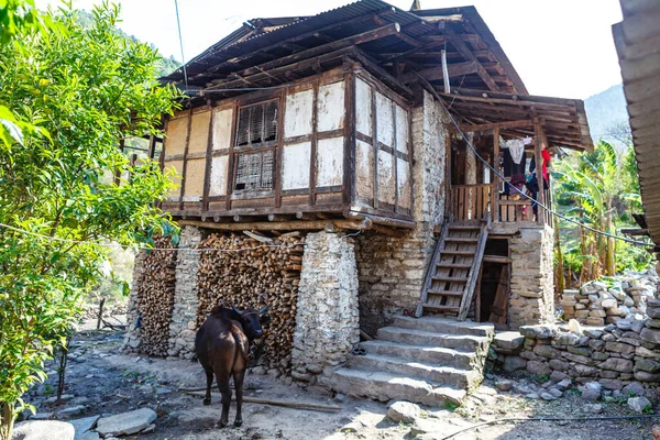 Traditionelles Bhutanisches Bauernhaus Mit Einer Kuh Den Bergen Ostbhutans Asien — Stockfoto