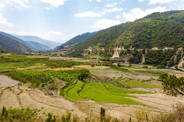 Rural Scenery Rice Fields Valley Punakha Central Bhutan Asia — Stock Photo, Image