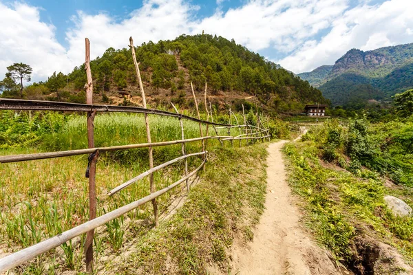 Ländliche Landschaft Mit Reisfeldern Einem Tal Nahe Punakha Zentralbhutan Asien — Stockfoto