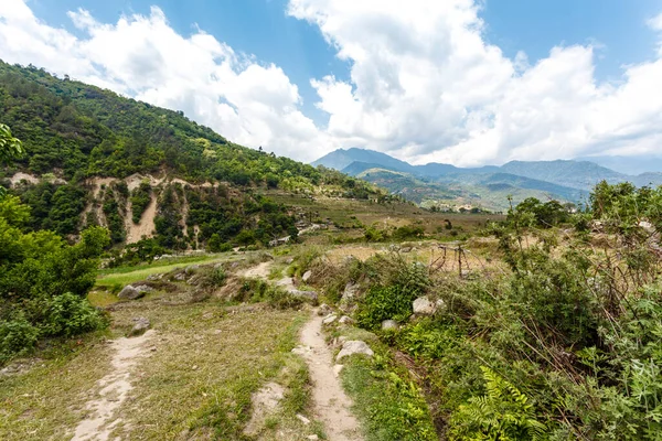 Сельский Пейзаж Рисовыми Полями Долине Близ Пунакхи Центральном Бутане Азия — стоковое фото