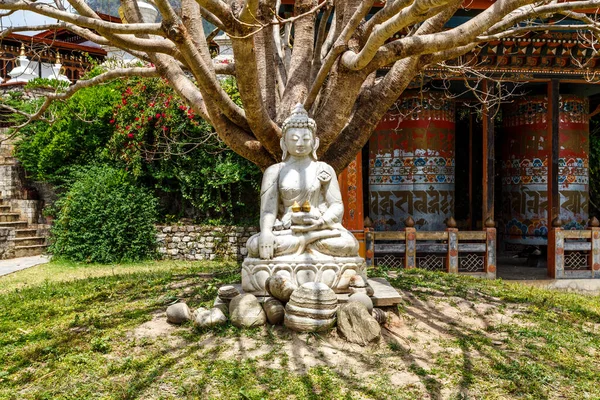 Estatua Buda Bajo Árbol Bodhi Pagoda Khamsum Yeulley Namgyal Chorten —  Fotos de Stock