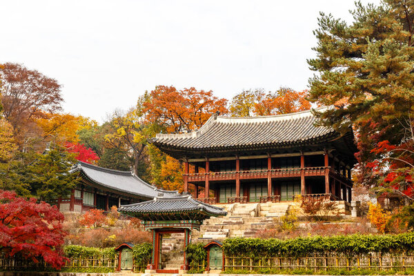 Juhamnu Pavilion in the secret garden of Changdeokgung palace in Seoul, South Korea, Asia
