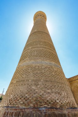Buhara, Özbekistan, Orta Asya 'daki Büyük Kalon Minaresi