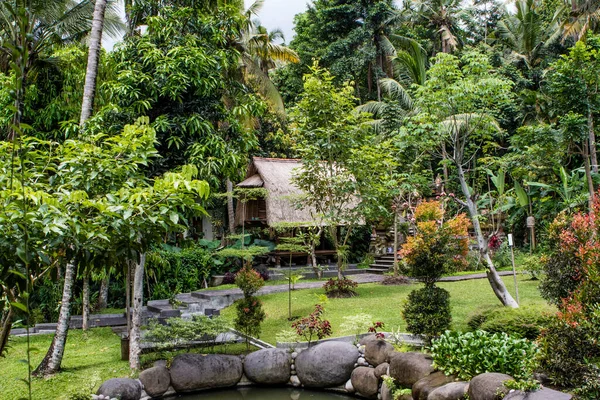 Tropická Zahrada Palmami Bali Indonésie Asie — Stock fotografie