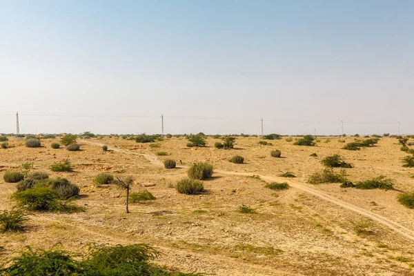 Deserto Thar Perto Amar Sagar Jaisalmer Rajasthan Índia Ásia — Fotografia de Stock