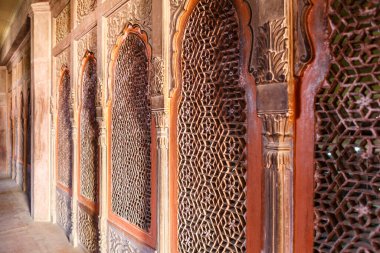 Zengin dekore edilmiş Lalgarh Sarayı, Bikaner, Rajasthan, Hindistan, Asya