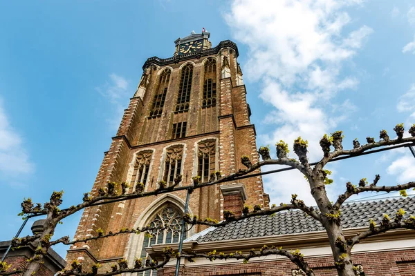 Toren Van Minster Van Dordrecht Onze Lieve Vrouwekerk Zuid Holland — Stockfoto