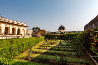 Hindistan, Asya 'daki Chittorgarh kalesinin içindeki gül bahçesi.