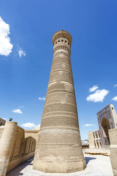 Buhara, Özbekistan, Orta Asya 'daki Büyük Kalon Minaresi