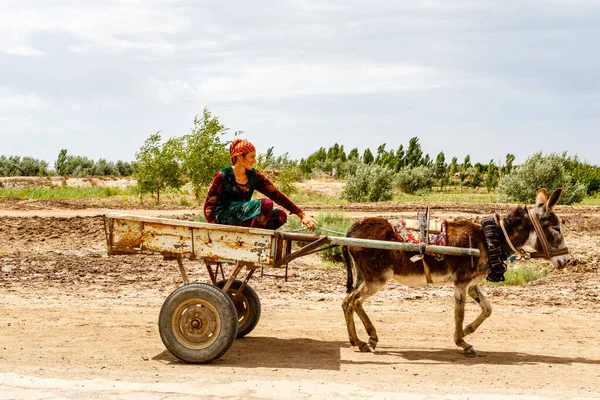 Uzbecká Žena Cestě Svým Oslem Uzbekistán Střední Asie — Stock fotografie