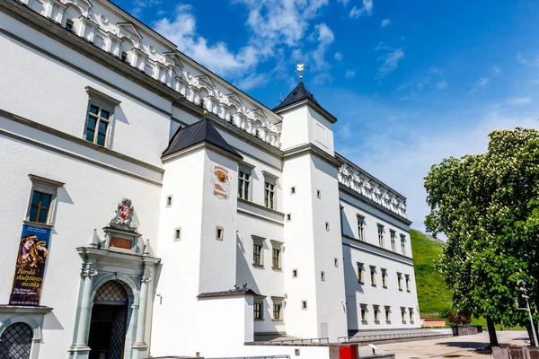 Außenansicht Des Palastes Der Großfürsten Von Litauen Vilnius Litauen Europa — Stockfoto