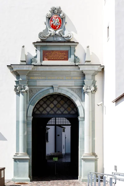 Puerta Entrada Del Palacio Los Grandes Duques Lituania Vilna Lituania —  Fotos de Stock