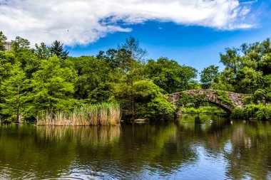 Yazın Central Park 'ta göl ve köprü, Manhattan, New York, Amerika Birleşik Devletleri