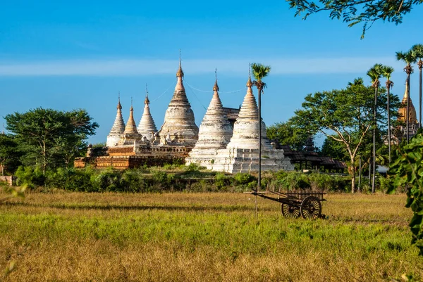 Old White Pagoda Old Bagan Myanmar Burma Asia — Stock Photo, Image