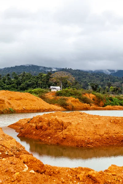 Gold Field Wittikreek Lake Brokopondomeer Suriname South America — стокове фото