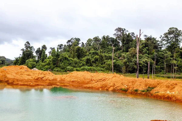 Gold Field Wittikreek Lake Brokopondomeer Suriname South America — стокове фото