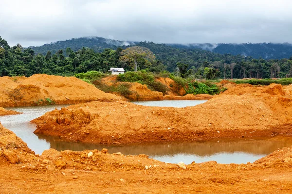 Campo Ouro Wittikreek Lago Brokopondomeer Suriname América Sul — Fotografia de Stock