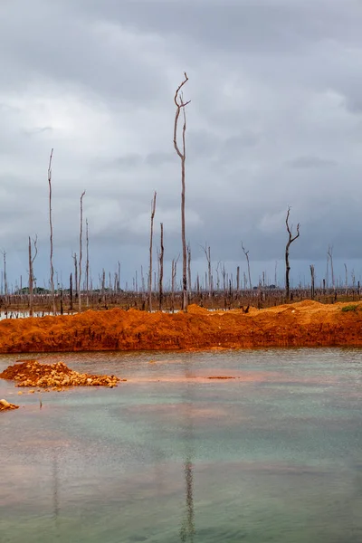 Gold Field Wittikreek Lake Brokopondomeer Suriname South America — Stockfoto