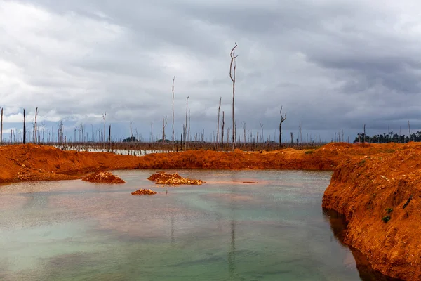 Gold Field Wittikreek Lake Brokopondomeer Suriname South America — стокове фото