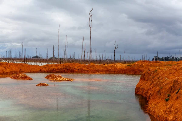 Gold Field Wittikreek Lake Brokopondomeer Suriname South America — Stockfoto