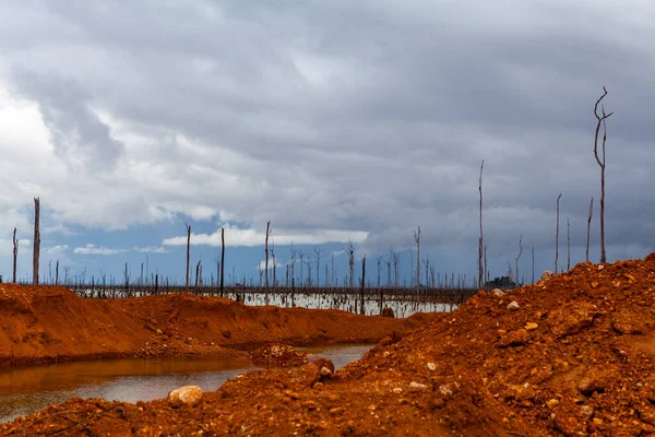 Gold Field Wittikreek Lake Brokopondomeer Suriname South America — Stockfoto