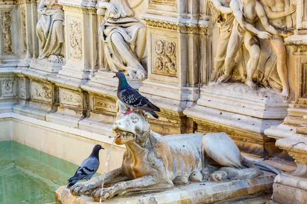 Fonte Gaia Fountain Situated Very Heart City Piazza Del Campo — Stock fotografie