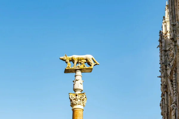 Στήλη Του Λύκου Στην Πλατεία Piazza Del Duomo Στη Σιένα — Φωτογραφία Αρχείου